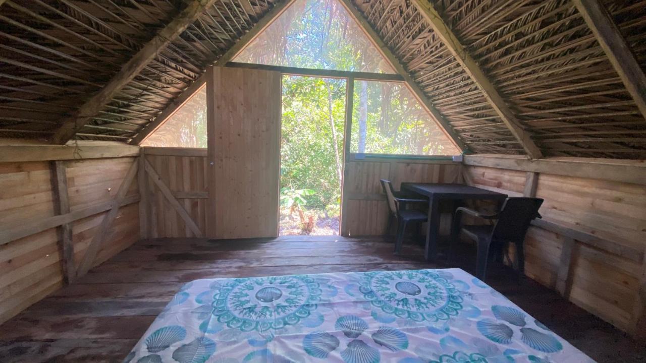 Surf House Estilo Libre 호텔 부에나벤투라 외부 사진